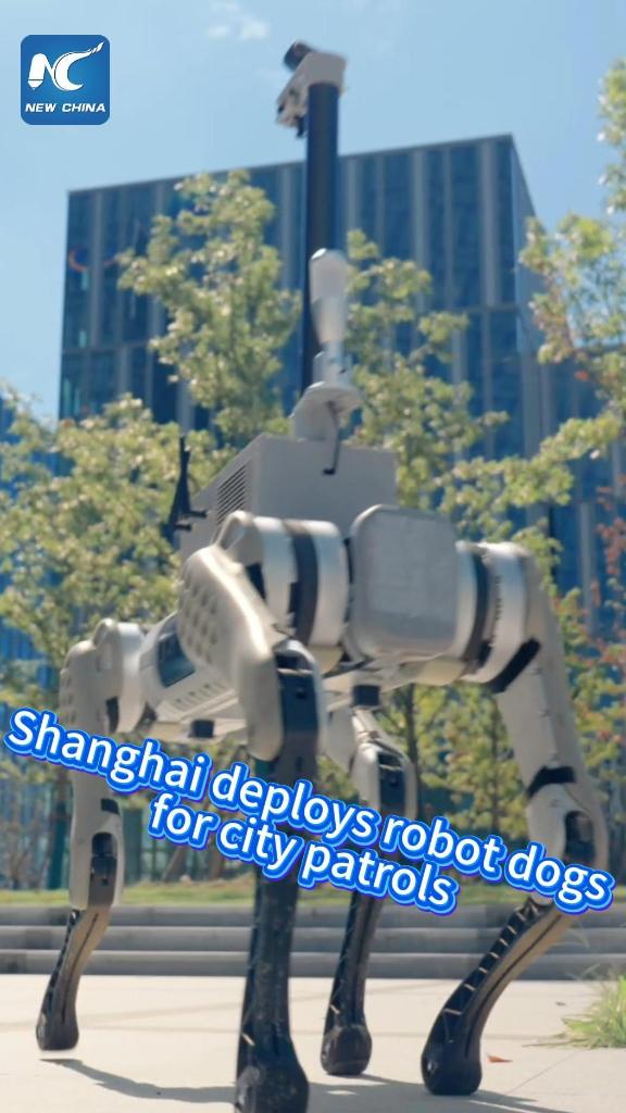 Shanghai deploys robot dogs for city patrols