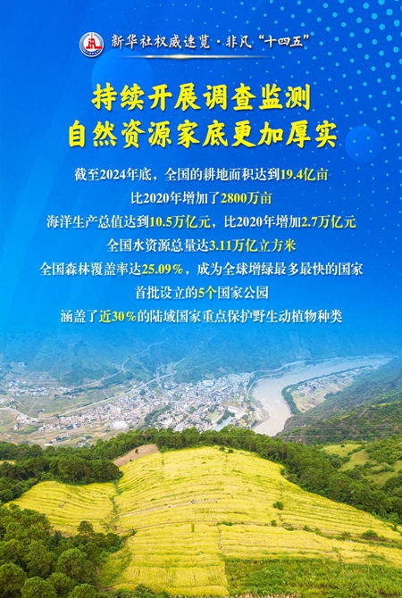 当好自然资源“大管家”美丽中国“守护者”，他们这样干！
