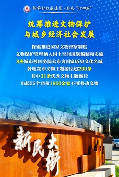 守护国之瑰宝，筑牢文明根基……看文物事业历史性成就