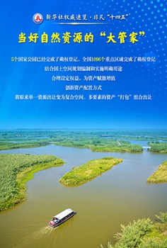 这些数据，读懂自然资源领域高质量发展的生动实践